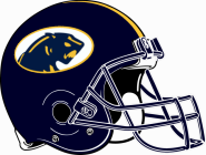 DeWitt Panthers