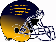 Burton Bendle Tigers