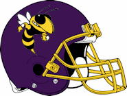 Auburn Hills Avondale Yellow Jackets