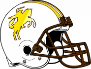 North Farmington Raiders