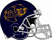 Baldwin Panthers