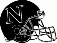 Newaygo Lions