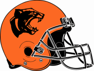 Stockbridge Panthers